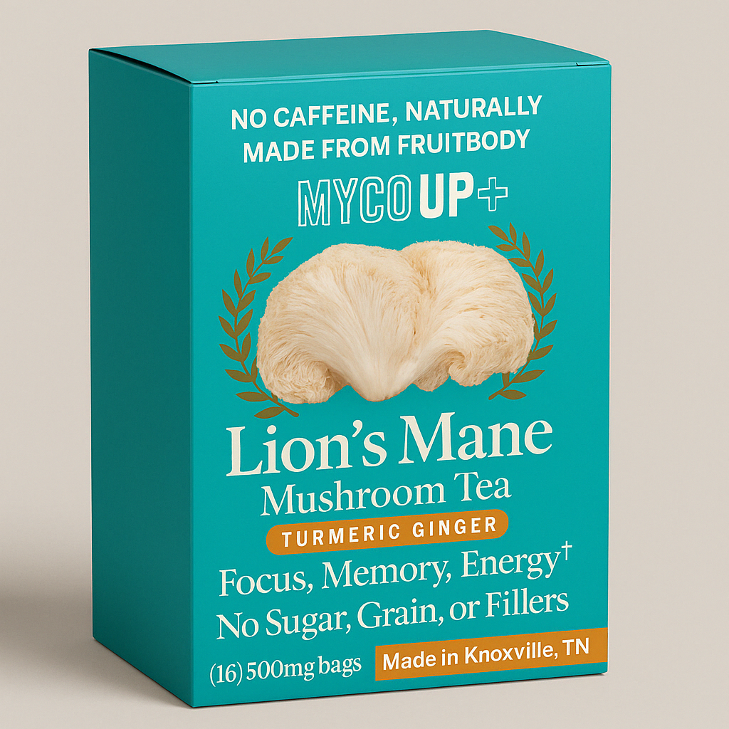 Lion's Mane Mushroom Tea